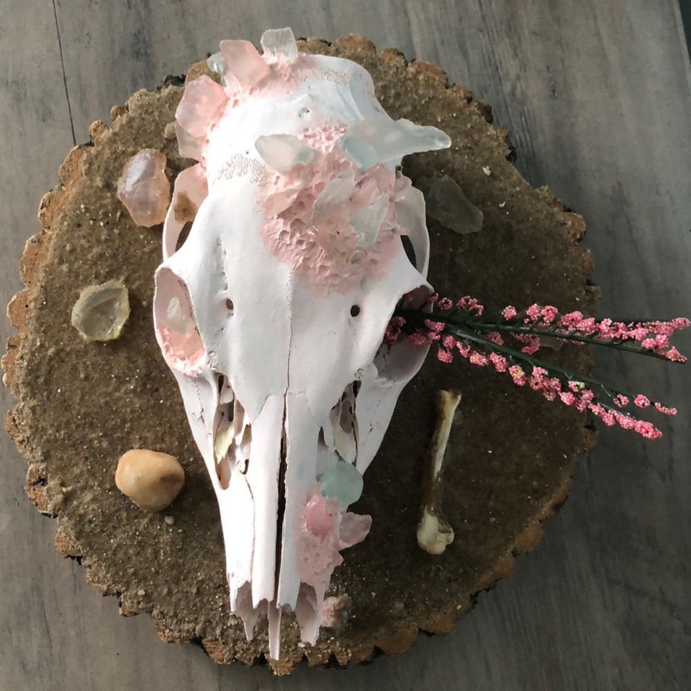 Home made real deer skull mount